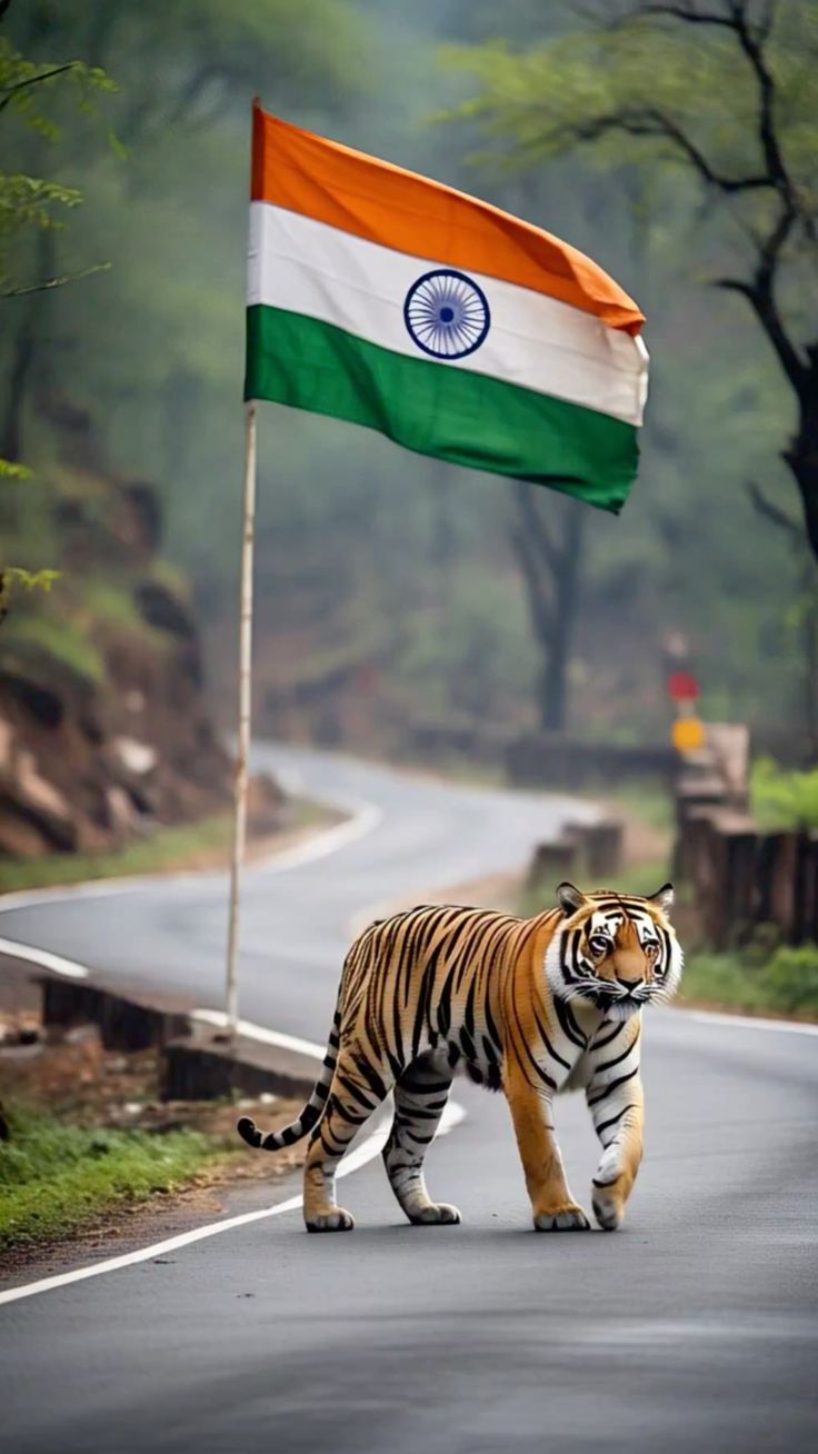 Tiranga DP HD for Instagram