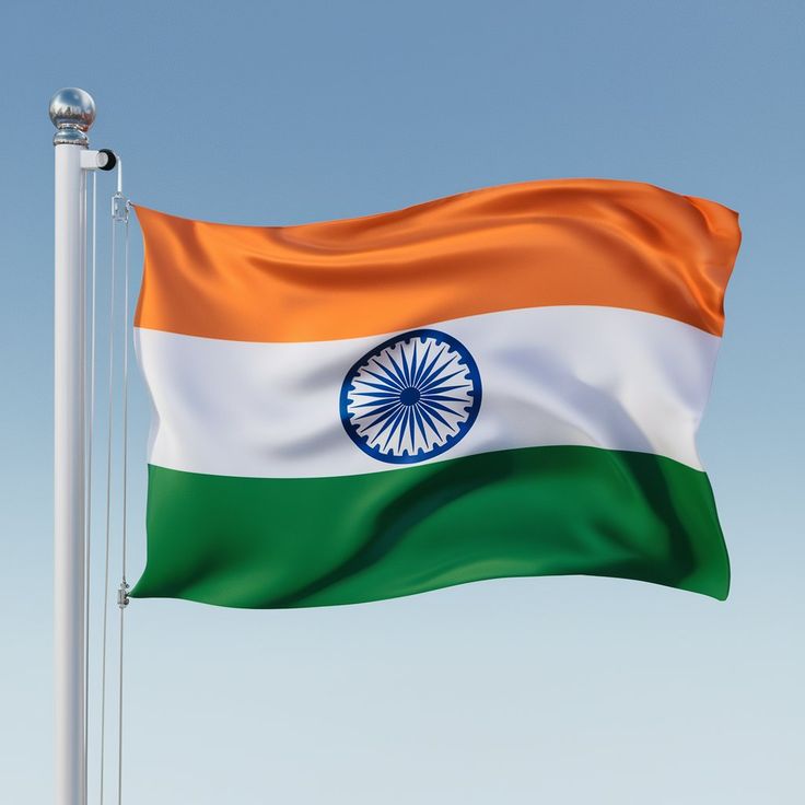 Tiranga DP for boys stylish