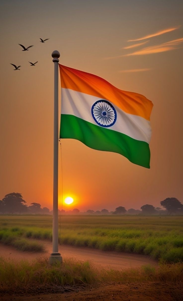 Tiranga DP free download